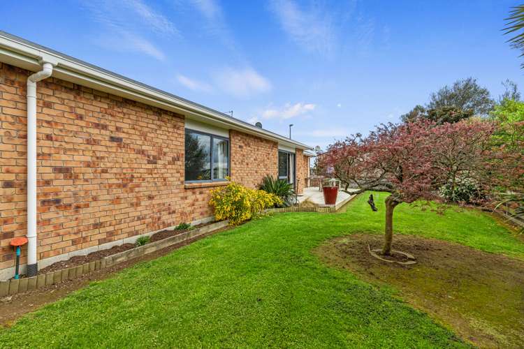 22 Bolton Road Morrinsville_17