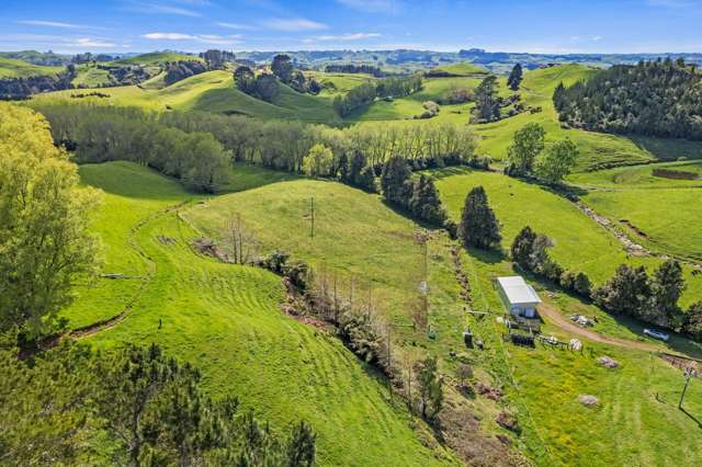 873 Croydon Road Te Popo_3