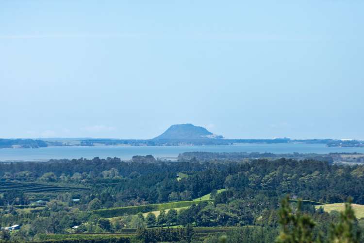 425 Hot Springs Road Katikati Western Bay Of Plenty Houses for Sale One Roof