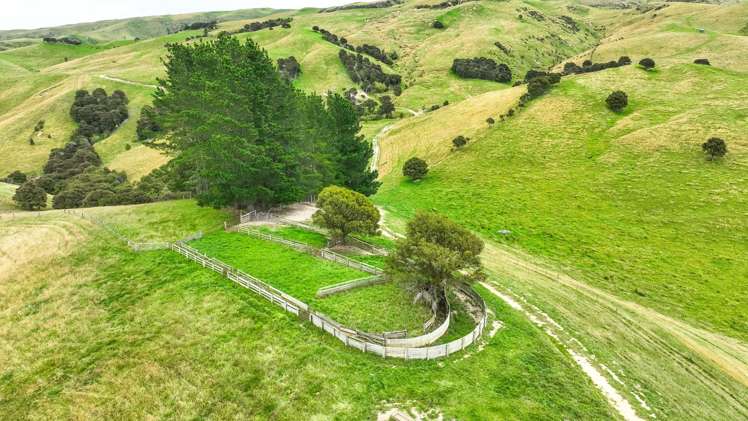 48 Heathfield Road Greta Valley_9