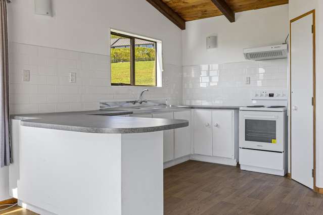 4 Te Pohue Street Omori_4