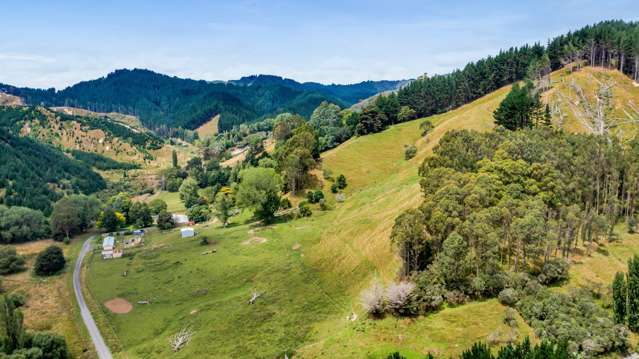 Tangahoe Valley Road Ohangai_1