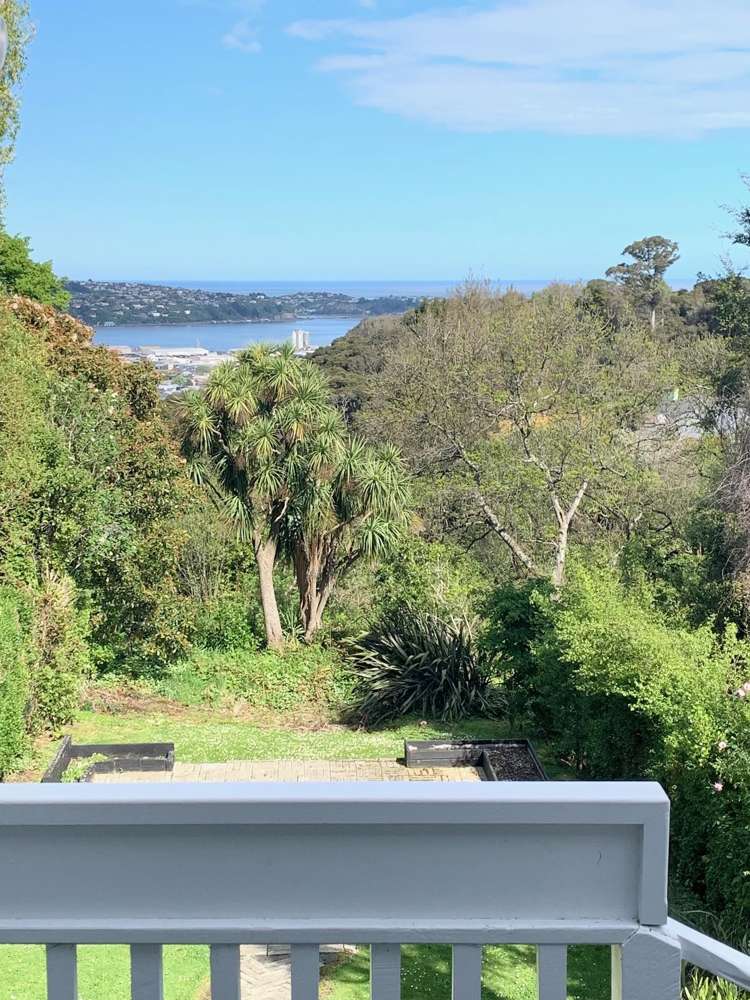 26 Henry Street Maori Hill_22