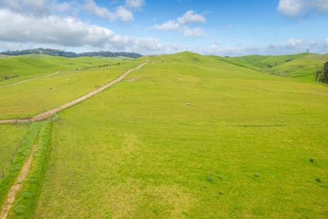 740D Tainui Road Hoe-o-tainui_2