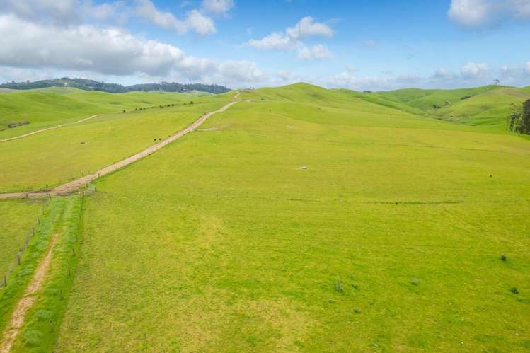 740D Tainui Road Hoe-o-tainui_2