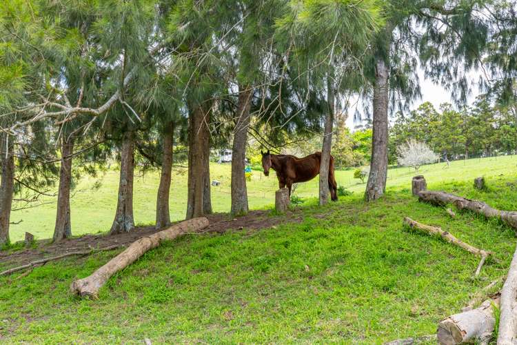 48 Marsh Road Wharehine_10