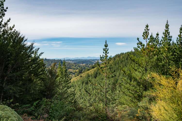 297 Graham Valley Road Motueka Valley_19