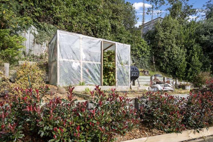 46 Waimea Avenue Calton Hill_23