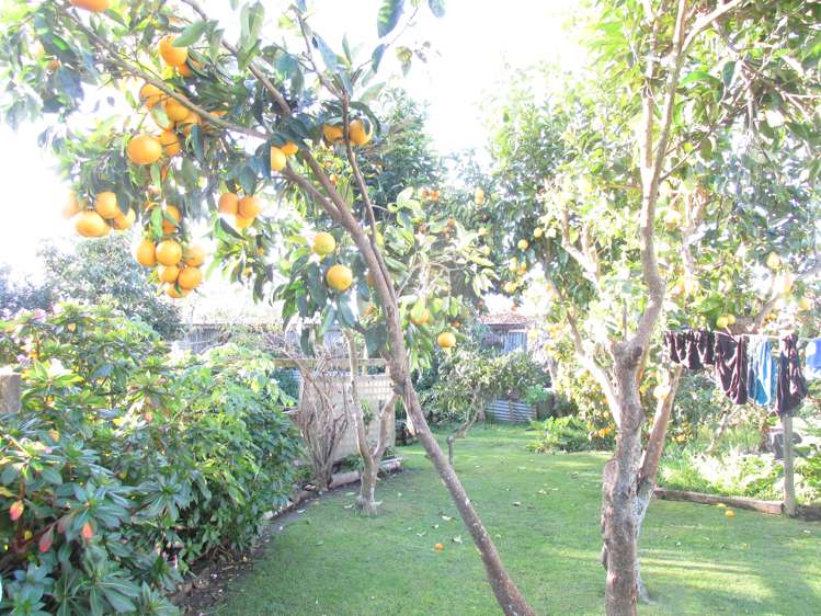 192 Kopu Road Wairoa_11