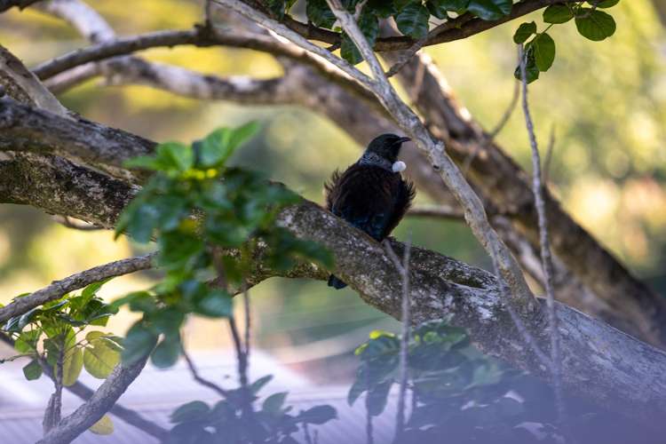 3 Leigh Road Leigh_21