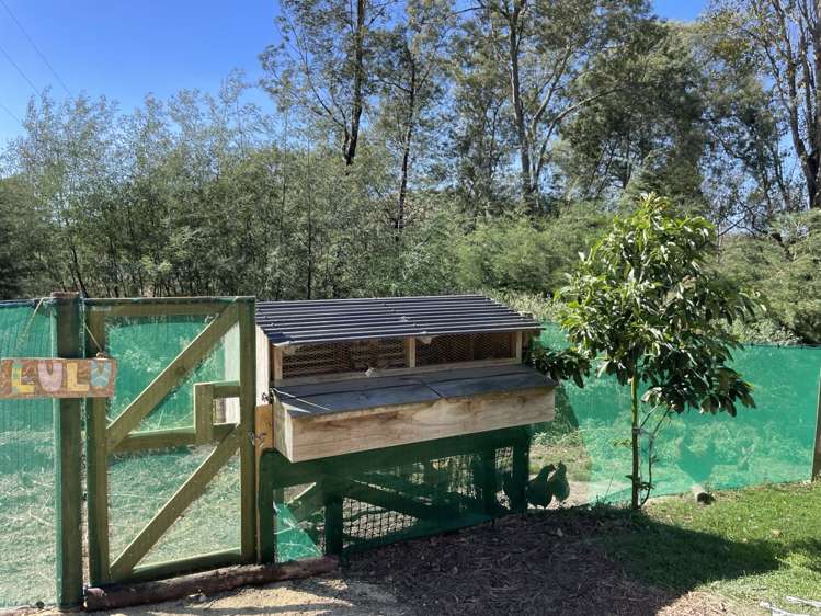 1019 Dartmoor Road Puketapu_19