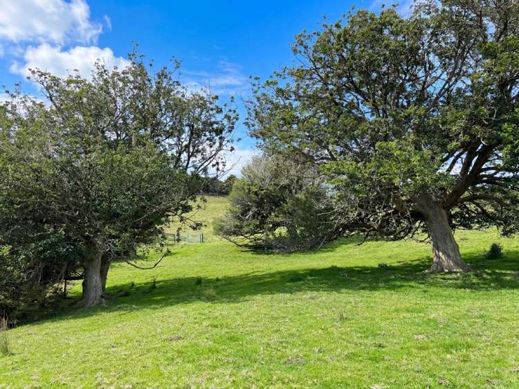583 Lusk Road Ruawai_26