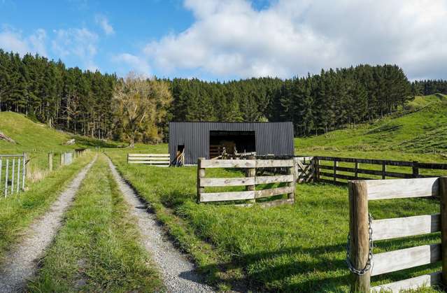 1522 State Highway 2 Wairoa_2