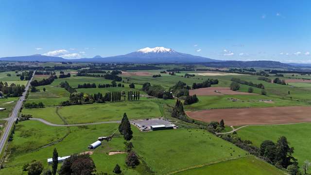 Contractors dream, lifestyle with massive sheds