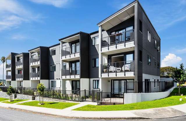101/1A Derna Road Panmure_1