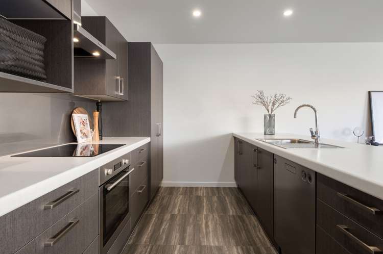 31 Seddon Street Sydenham_5