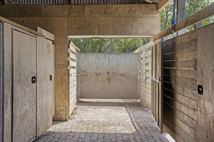 121 Joyce Road Hampden_38