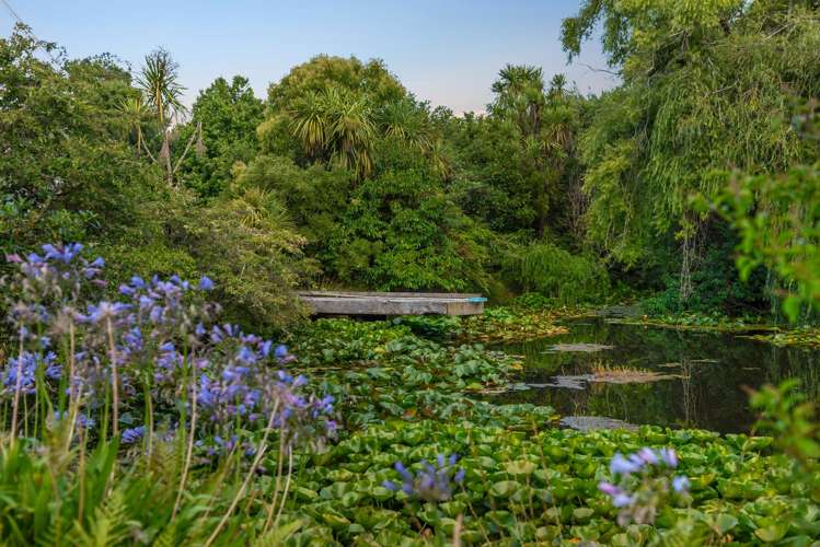 102 Blackbridge Road Dairy Flat_28