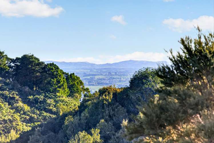 115 Sonja Drive Hunua_21