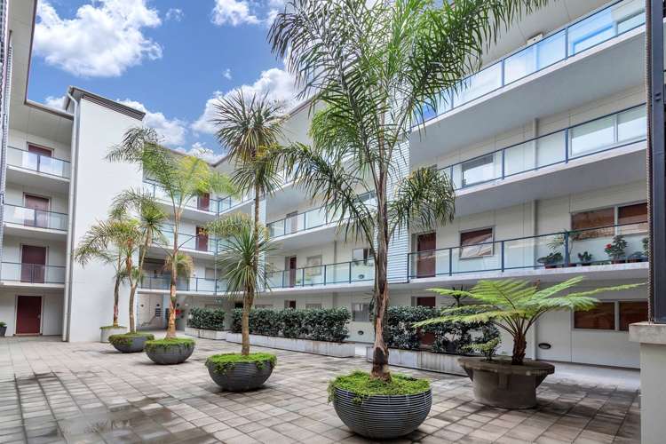 103/10 Fox Street Parnell_19