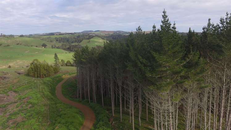 157 Mercer Ferry Road Mercer_9