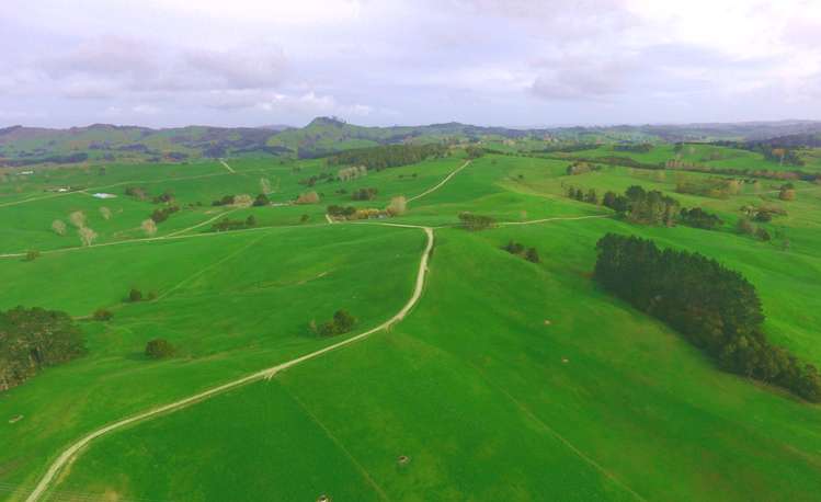 176 Prictor Road Wellsford_1