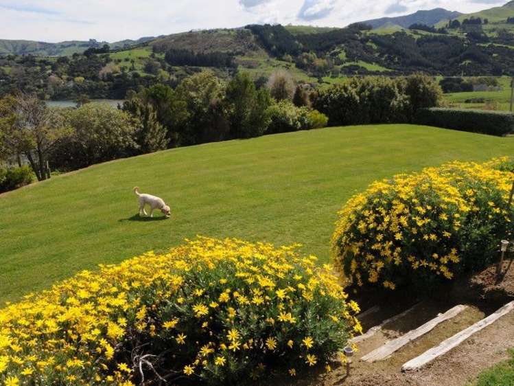 6489 Christchurch Akaroa Road Robinsons Bay_10