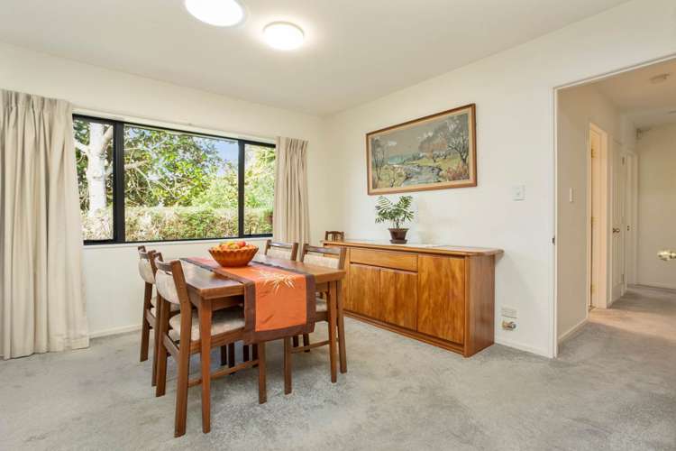 10a Vinter Terrace Mount Albert_12