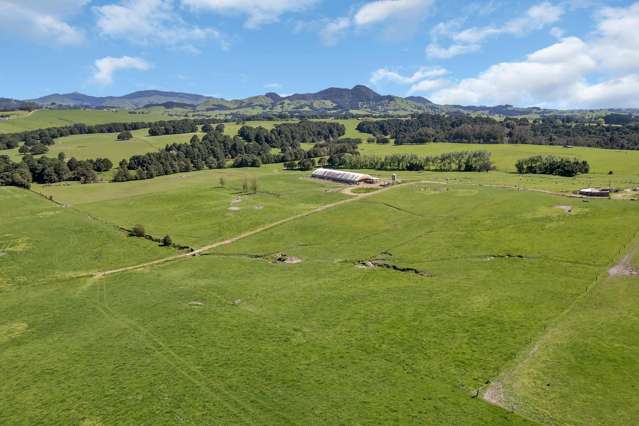 Knight Road Ruatangata_2