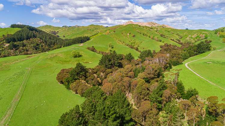 792 Clifton Grove Road Gladstone_15