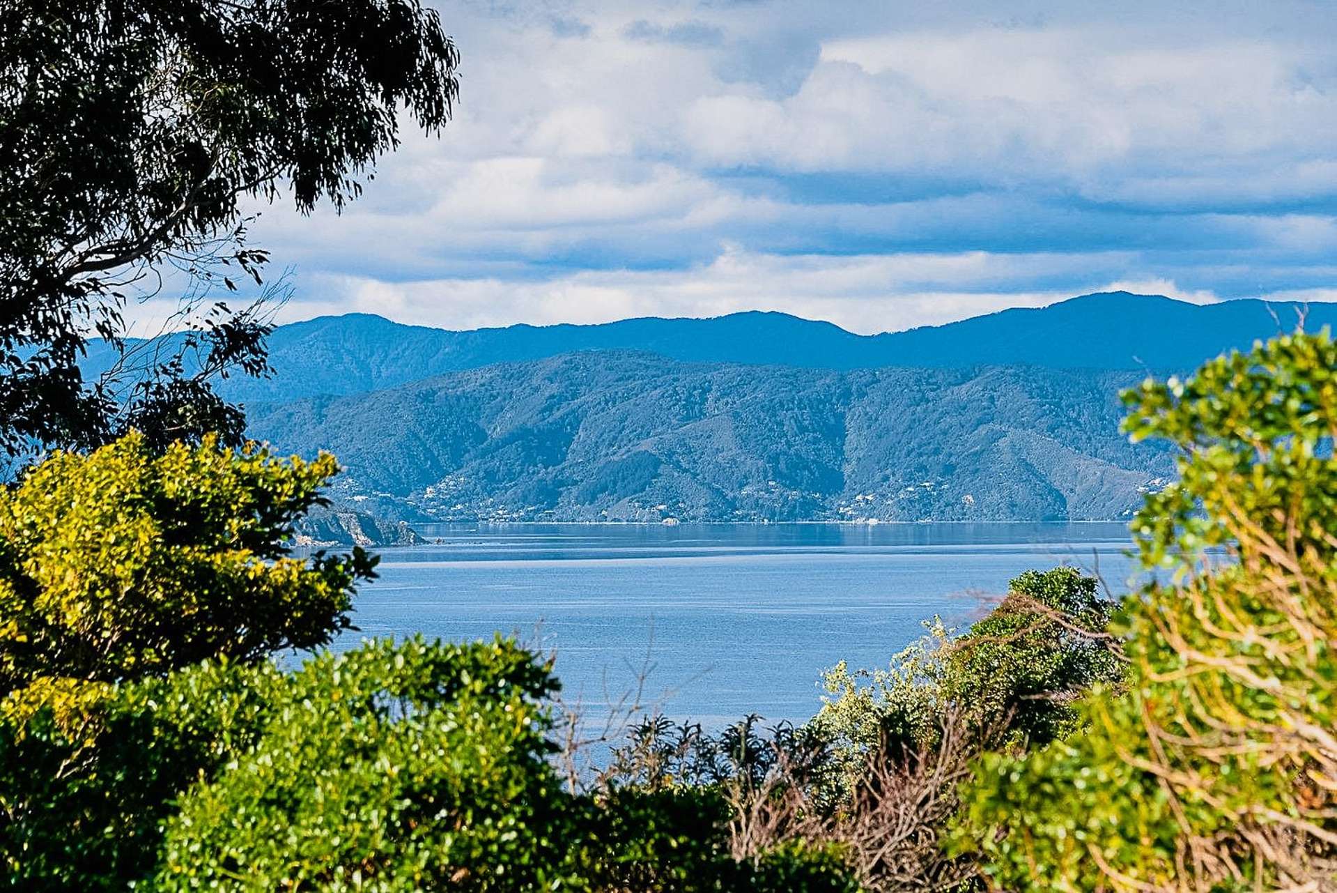 178B Barnard Street Wadestown_0