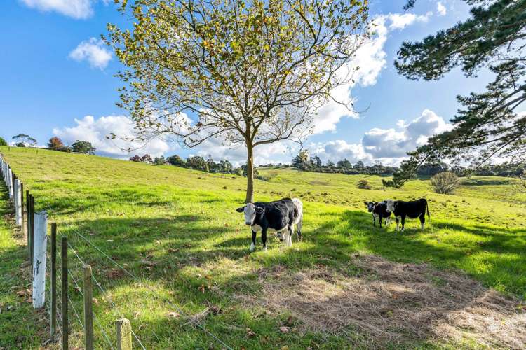 1549 Dairy Flat Highway_3