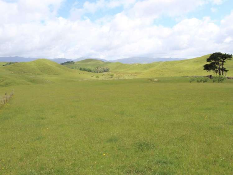 127 North Road Eketahuna_18