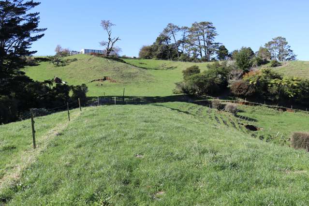 344 Hursthouse Road Inglewood_2