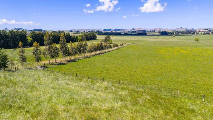 321A Porangahau Road Waipukurau_7