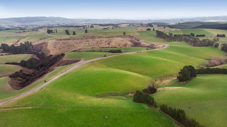 Table Hill Road Milton_20