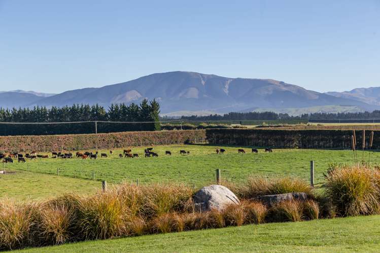 152 Stonyflat Road Loburn_19