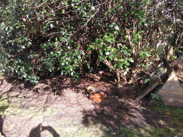 19 Hickson Street Featherston_22