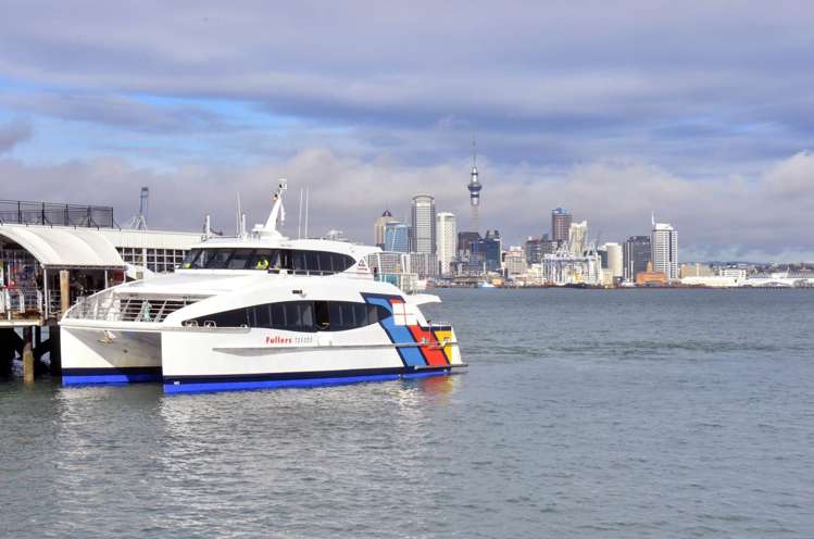 10 Spring Street Devonport_13