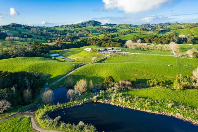 400 Partridge Road Wellsford_1