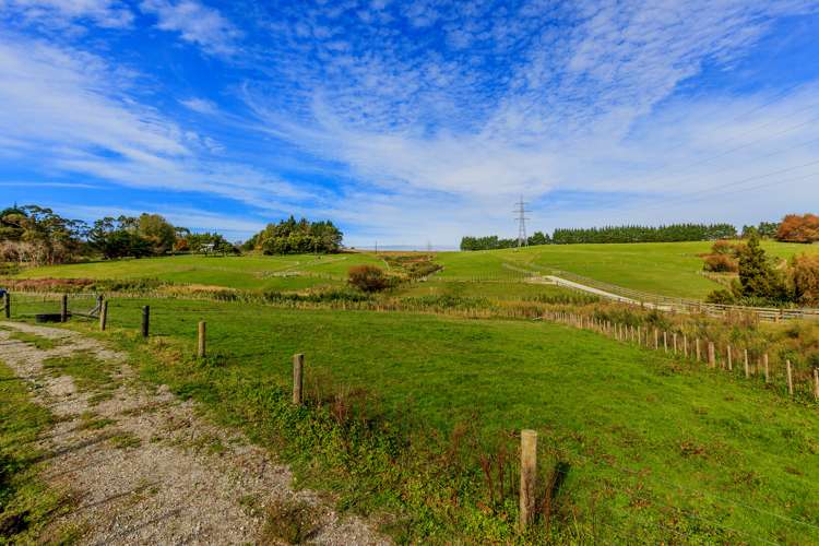 53 Follies Way Dairy Flat_13