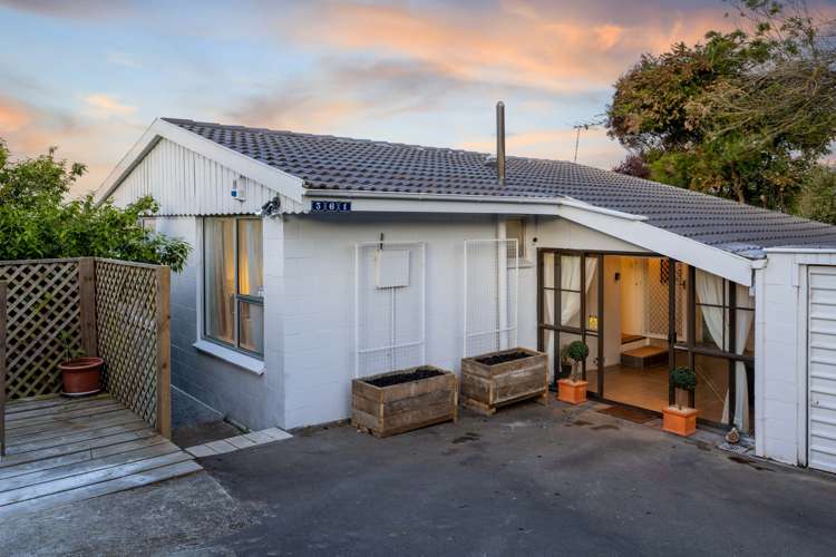 361 Centaurus Road Hillsborough_16