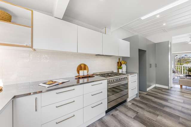 3 Ireland Street Freemans Bay_4