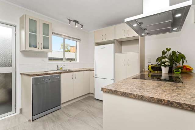 Stottholm Road Titirangi_2