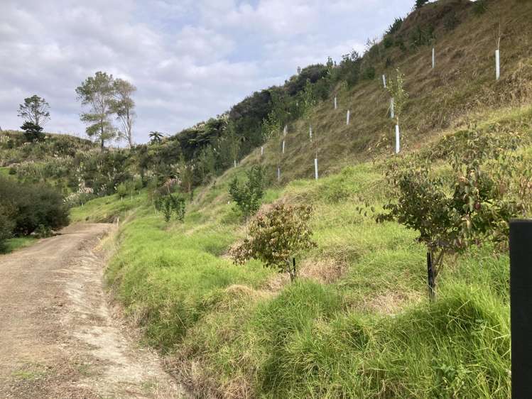 Near Mimi Road Mimi_6