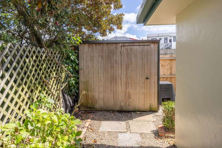 101B Clarence Street Hamilton Lake_11