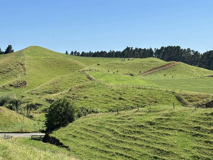 LOT 3/229 Hurford Road Hurford_3