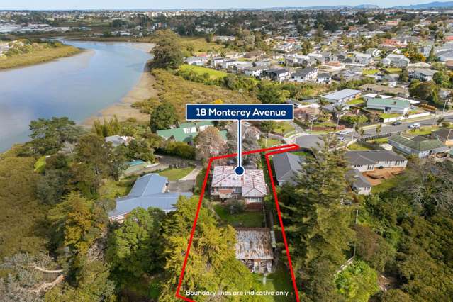 18 Monterey Avenue Otahuhu_1