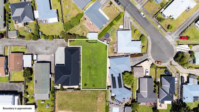 232D Carrington Street Vogeltown_3