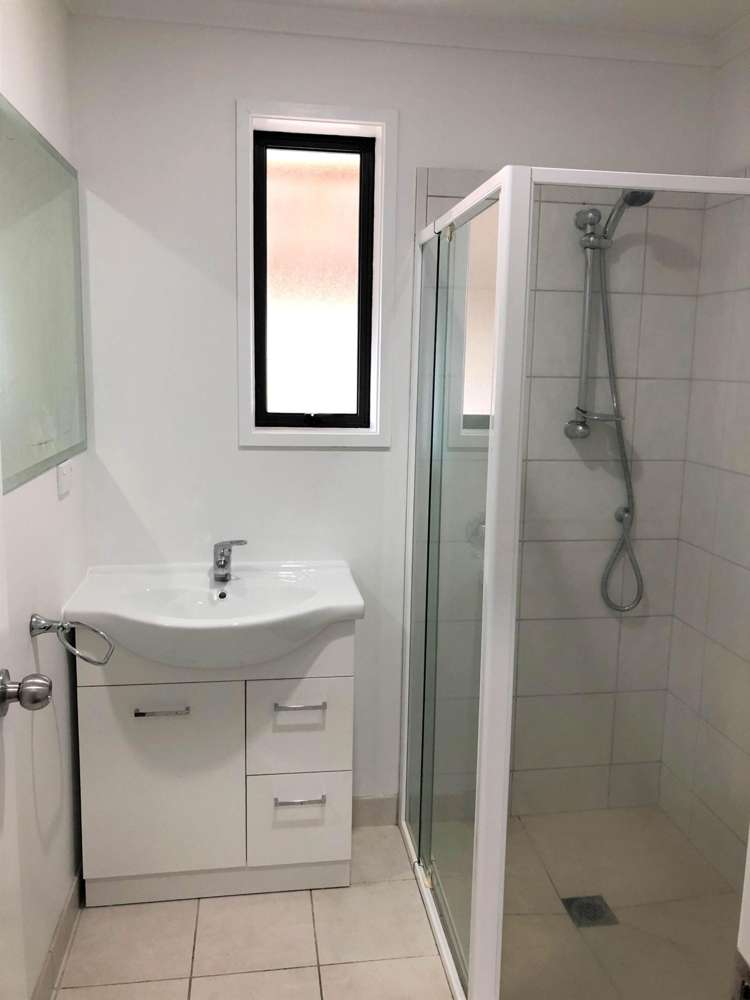 293C Hillsborough Road Mt Roskill_8